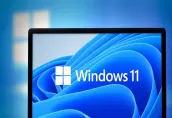 Windows 11 TPM 2.0 desteği olmayan PC kurulumu