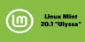 Linux Mint 20.1 kararlı sürüm indirilebilir