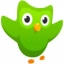 Duolingo