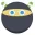 Ninja Download Manager