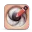 XnSketch