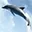 Living Dolphins 3D Screensaver