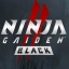 NINJA GAIDEN 2