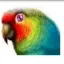 PolyView