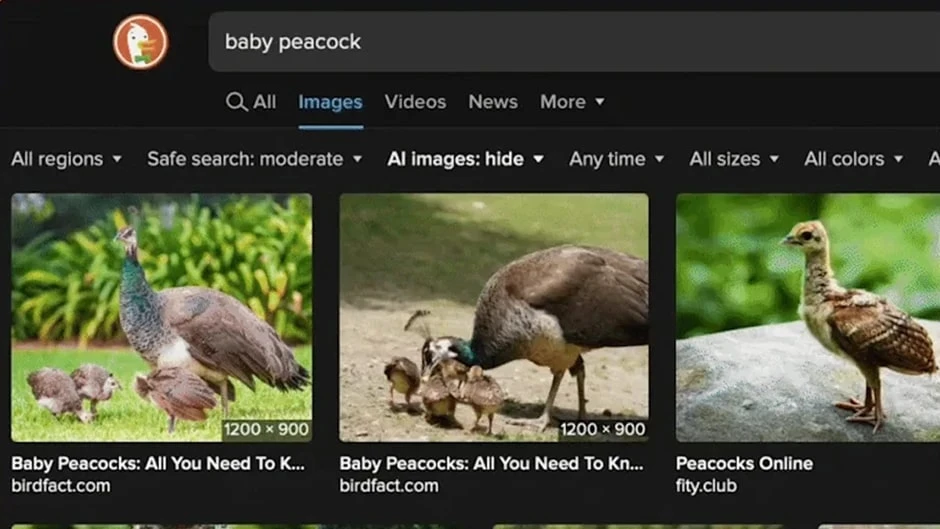 DuckDuckGo Yapay Zeka Görsellerini Listelemeyecek