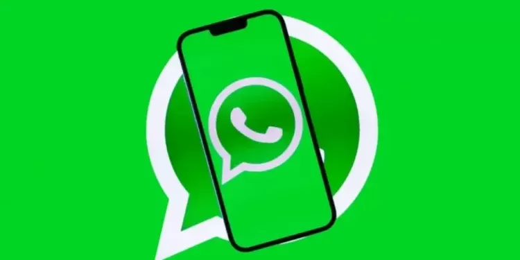 WhatsApp Ekran Paylaşımı