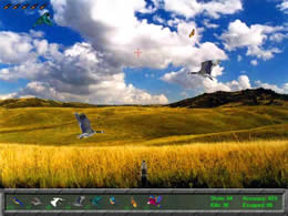 Bird Hunter Resimli Anlatim