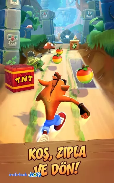 Crash Bandicoot: On the Run!