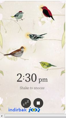 Dawn Chorus  Dawn Chorus indir