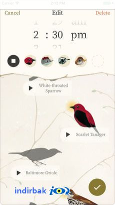 Dawn Chorus  Dawn Chorus indir