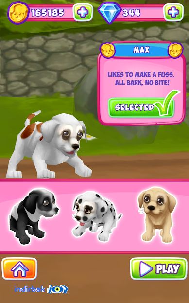 Dog Run