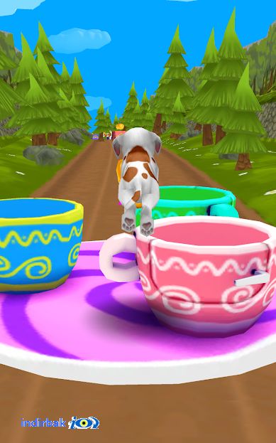 Dog Run