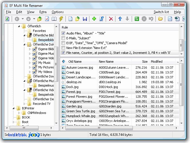 EF Multi File Rename