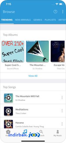 Freegal Music