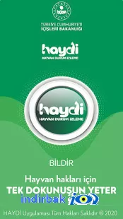 HAYDİ