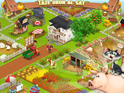 Hay Day Resimli Anlatim