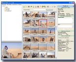Hide Photos