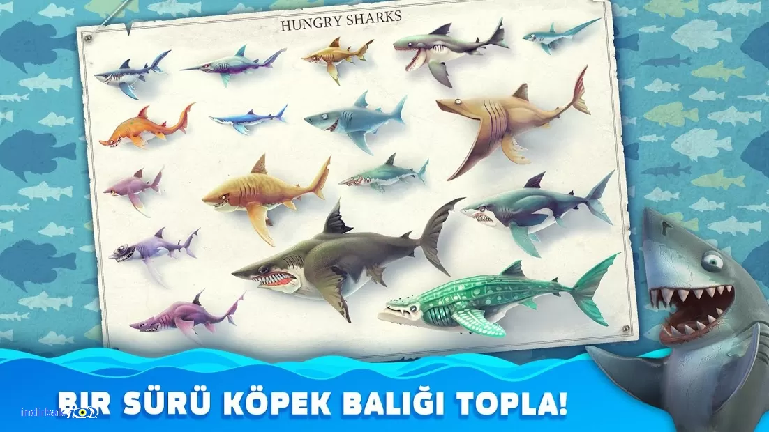 Hungry Shark World-4.1.2