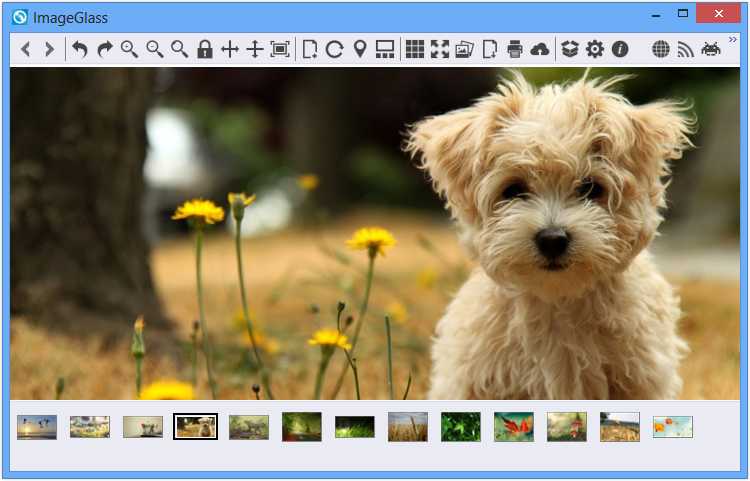 Windows 7 için fotoğraf arka plan düzenleme yazılımı ücretsiz indir