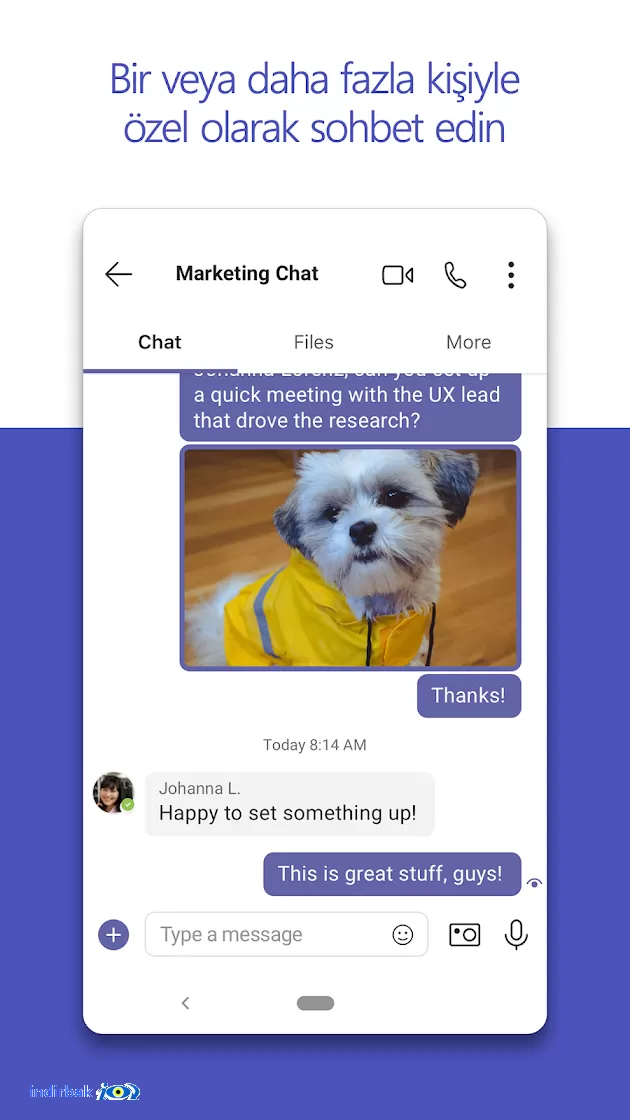 Microsoft Teams-