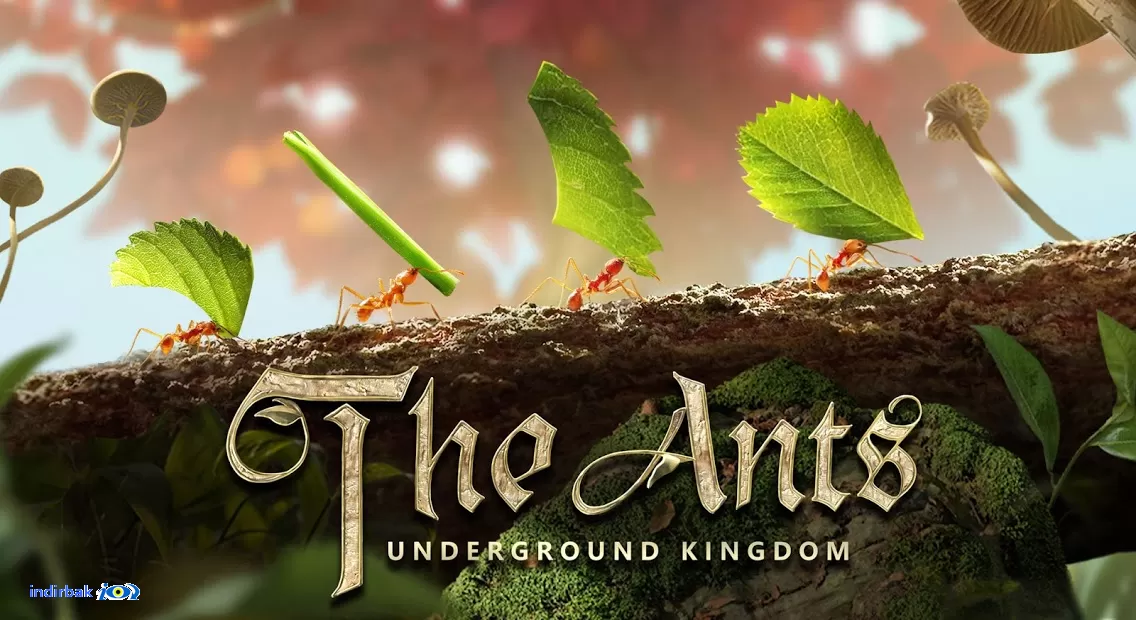 The Ants
