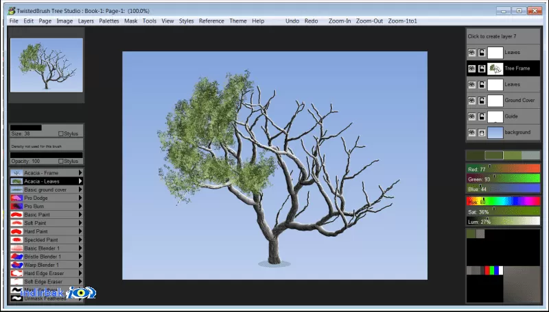 Tree Studio