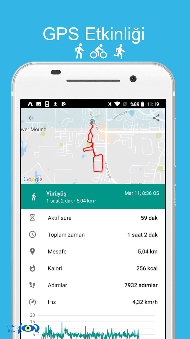 Accupedo Pedometer