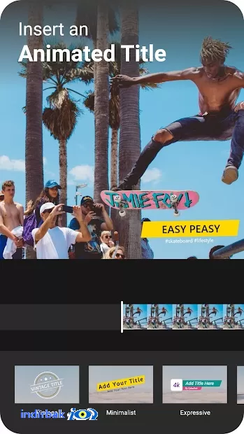 ActionDirector 