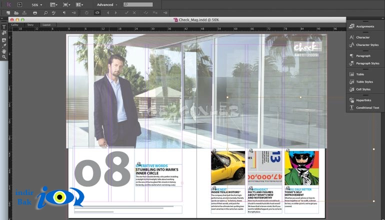Adobe InCopy CC