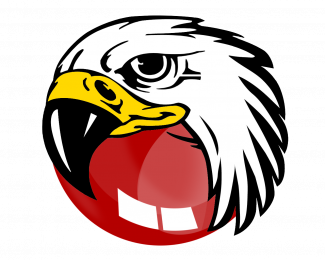 BlackHawk Web Browser Resimli Anlatim