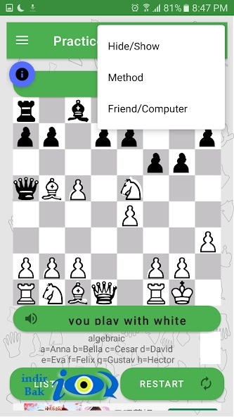 Blindfold Chess Offline