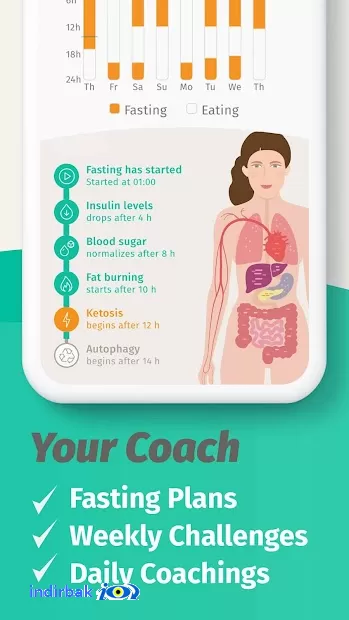 BodyFast Intermittent Fasting