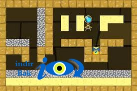 Crypt Raider