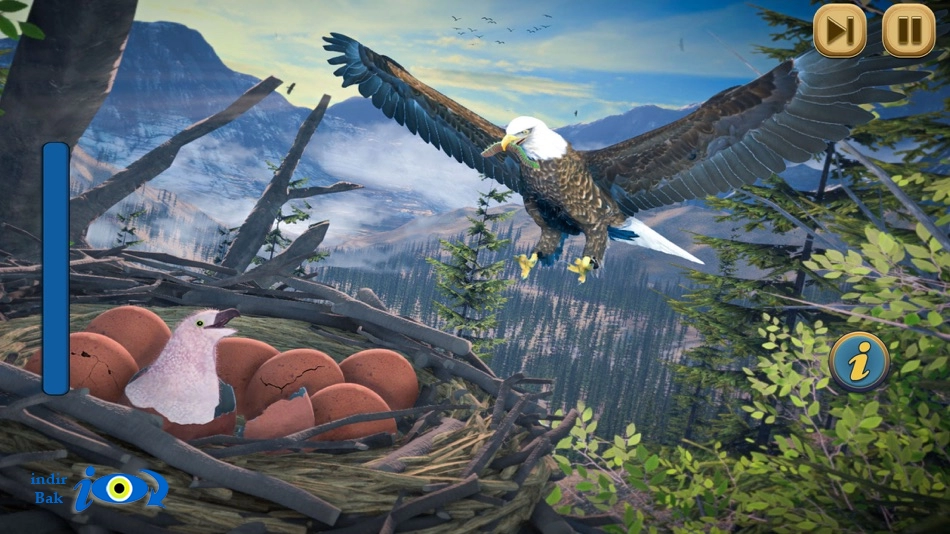 Eagle Bird Wild Life Sim Games