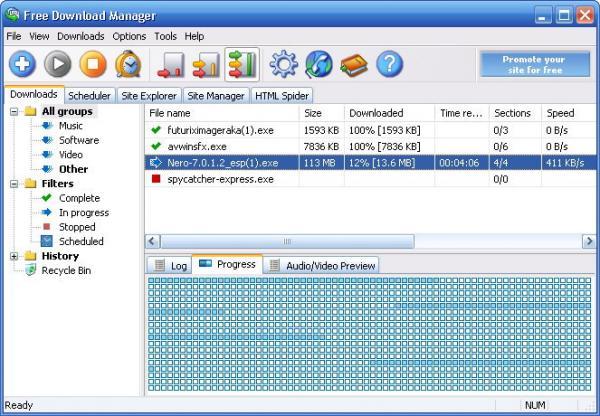 Free Download Manager Resimli Anlatim