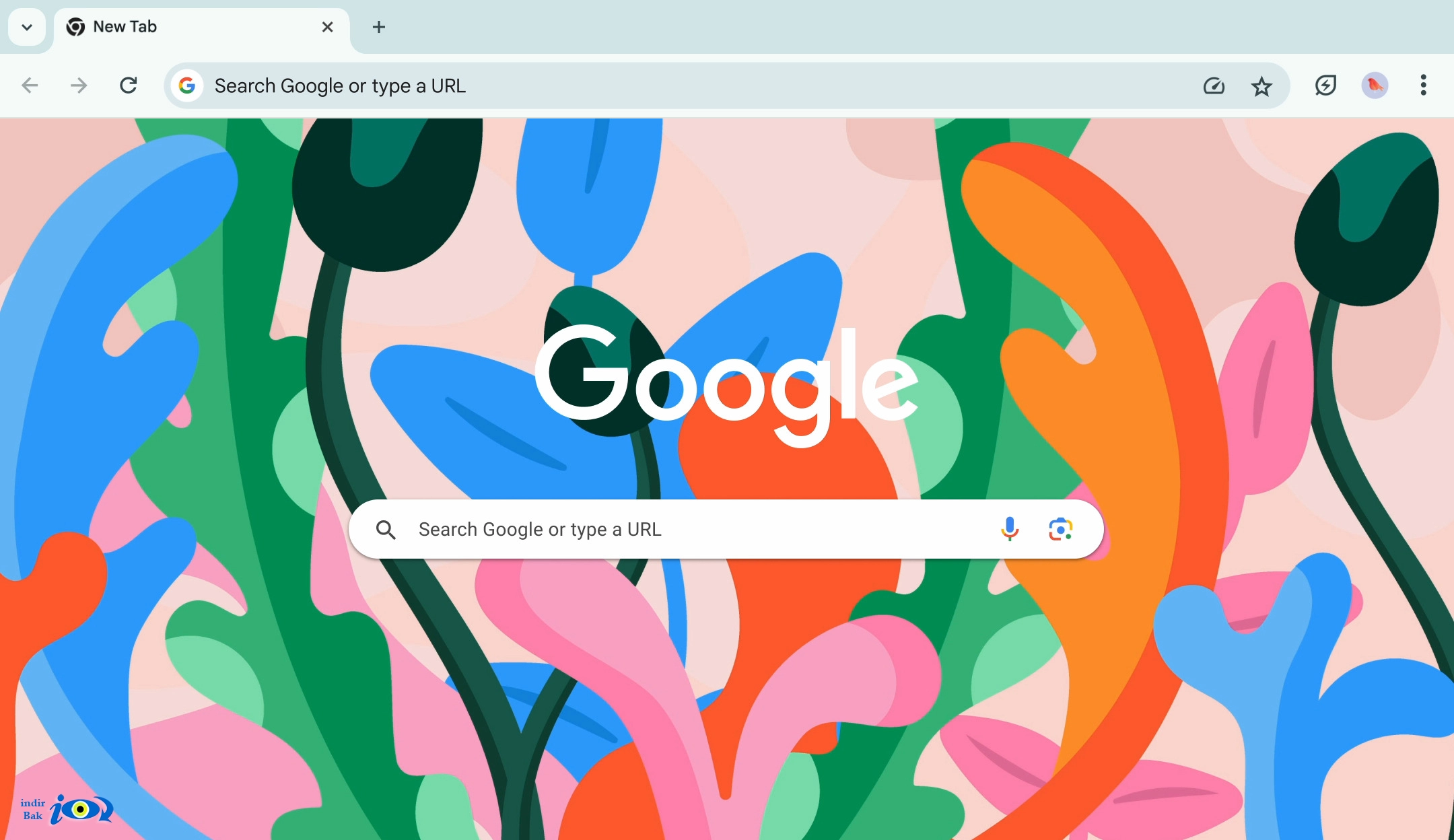Google Chrome