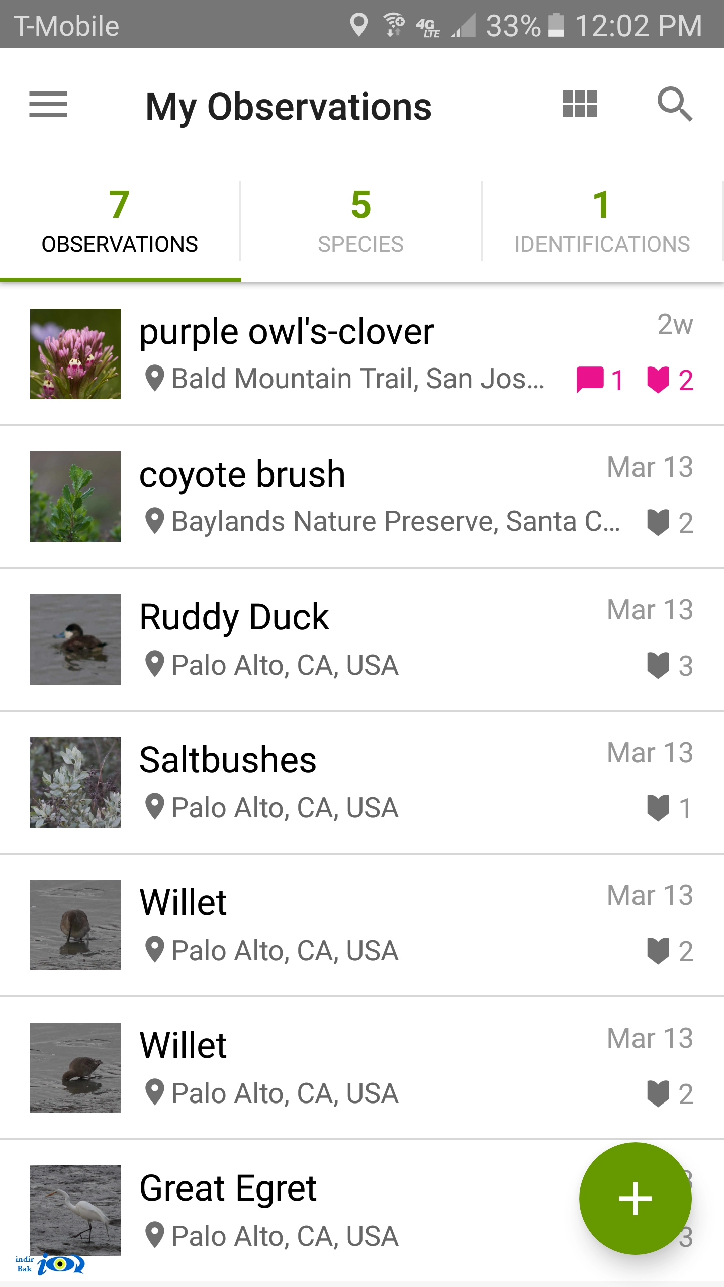 iNaturalist