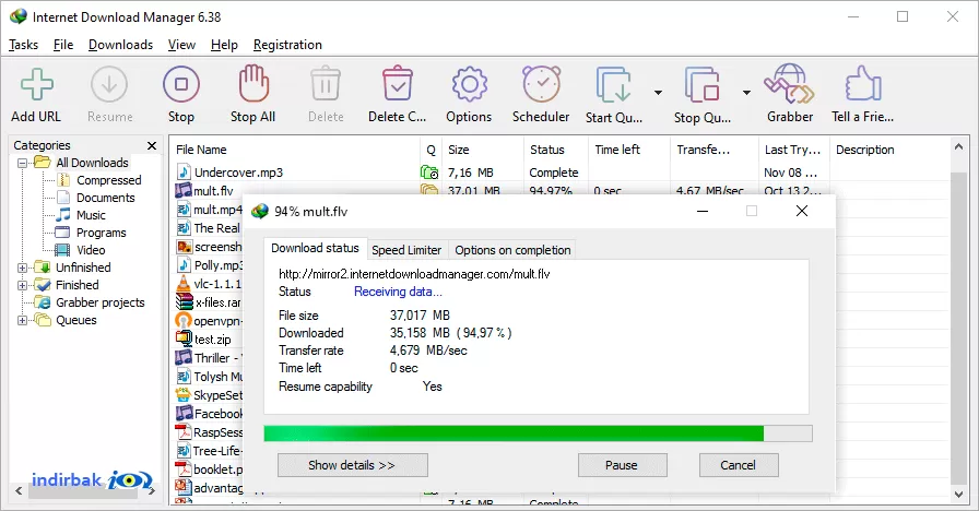 Internet Download Manager