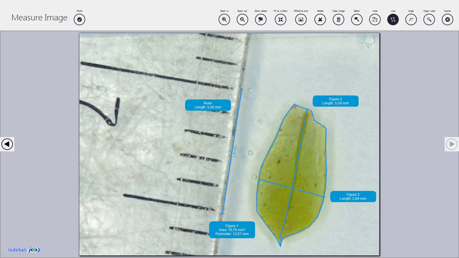 KLONK Image Measurement