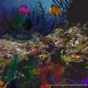 3D Angel Fish