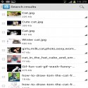 4shared