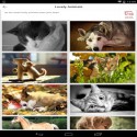 9Apps