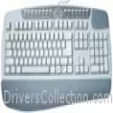 A4Tech Multimedia Keyboard Driver KB-8