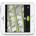 Adobe Shape CC  ios Vektörel Çizim Uygulaması