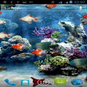 Akvaryum canlı duvar kağıdı  android için akvaryum