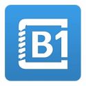 B1
