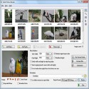 Batch Picture Resizer