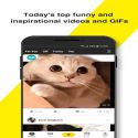 BuzzVideo