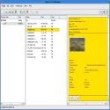 CdCat
