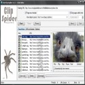 Clip Spider